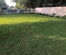 Lush, freshly mowed green lawn in a fenced backyard